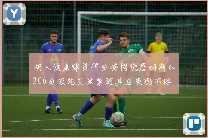 湖人健康球员得分榜揭晓詹姆斯以206分领跑艾顿紧随其后表现不俗